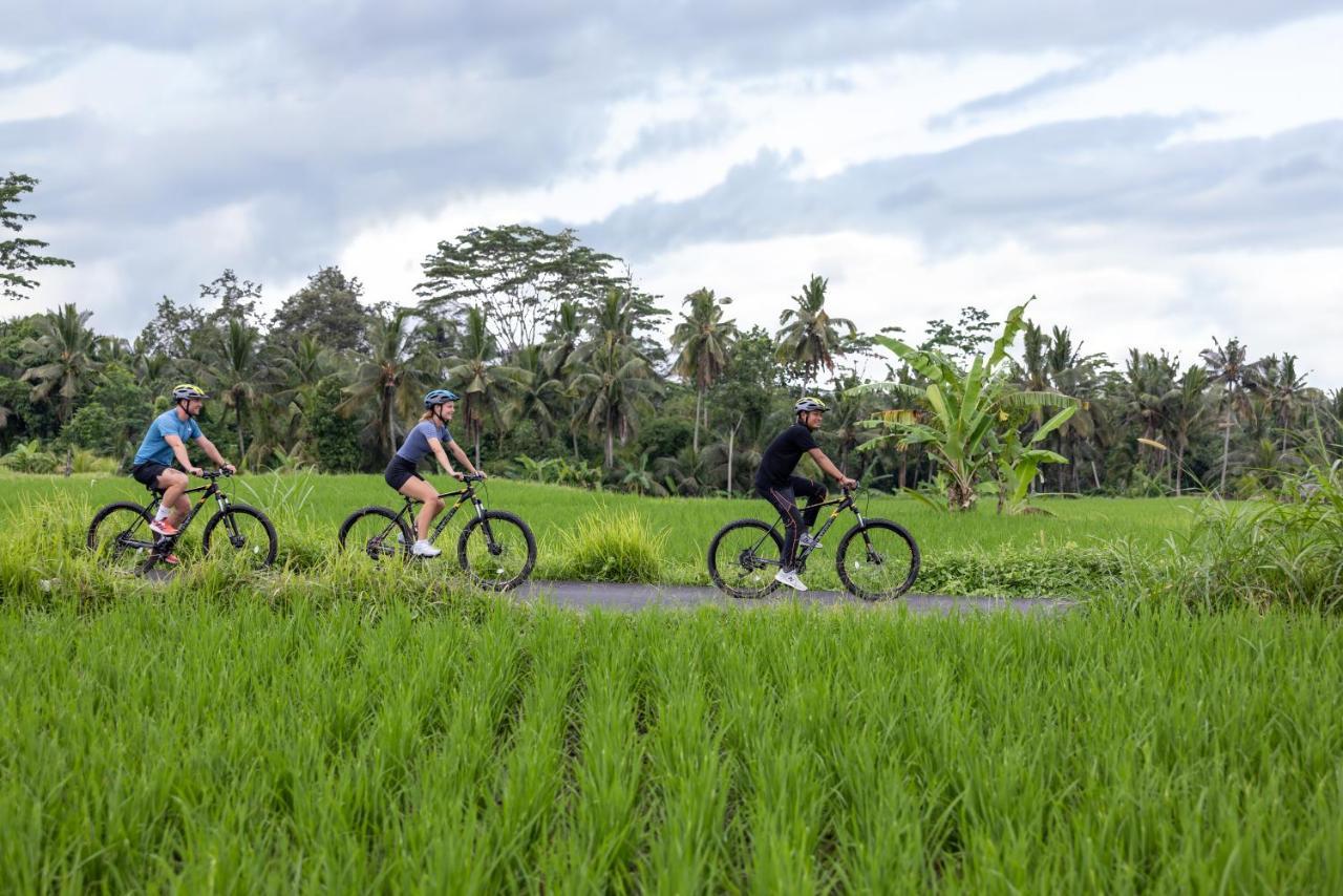 The Kayon Valley Resort Ubud  Ngoại thất bức ảnh
